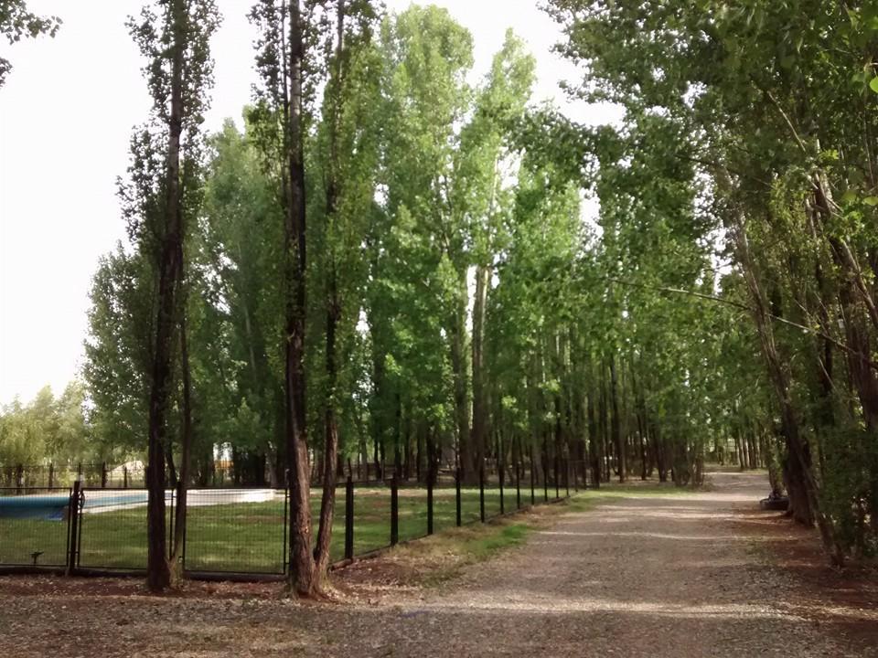 Terrazas En El Bosque Cabanas Malargue Exterior photo