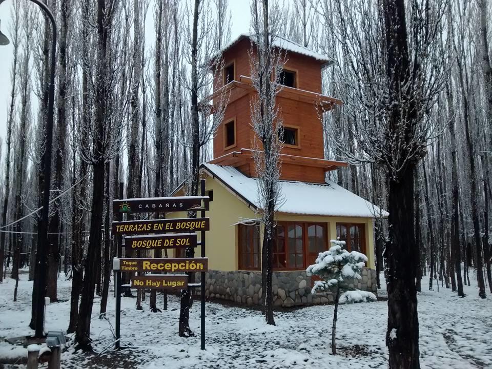 Terrazas En El Bosque Cabanas Malargue Exterior photo